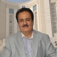 Dr Reza Safdari